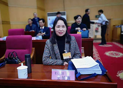 河南省人大代表、信阳市灵石科技有限公司副总经理、高级工程师孟旭燕参加省十三届人大常委会第七次会议。