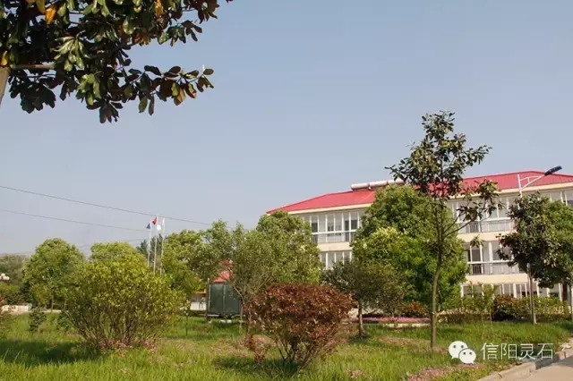 信阳市灵石科技有限公司花园式工厂。