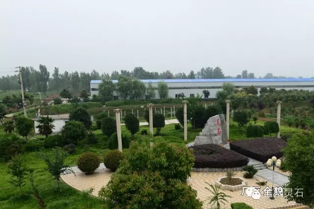 信阳市灵石科技有限公司厂区全景。